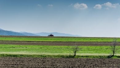 Photo of Bellanova e la “svolta” degli accordi Ue per la Pac