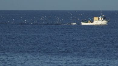 Photo of Pescatori spariti in Libia: l’impotenza dei familiari e l’assenza dello Stato