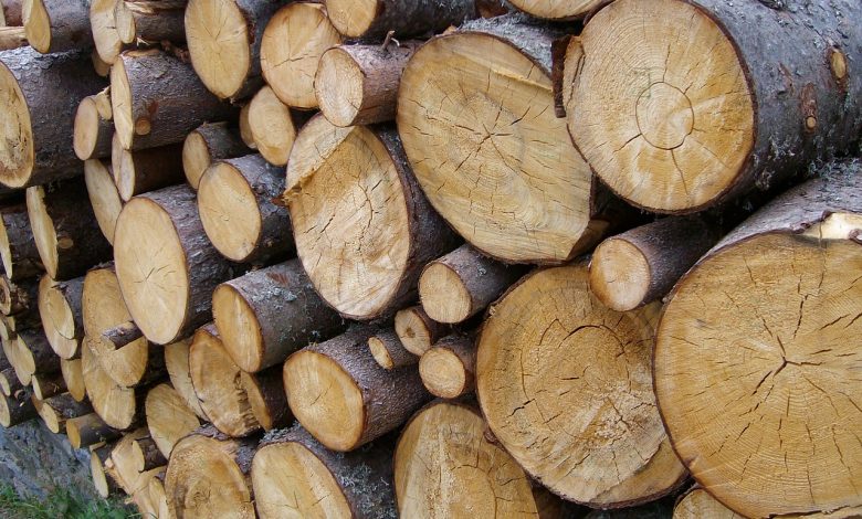 Photo of Crisi energetica, l’Italia rimane senza legna e pellet