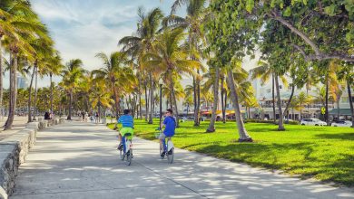 Photo of ‘Aiutiamo le menti brillanti’, la campagna social del sindaco di Miami