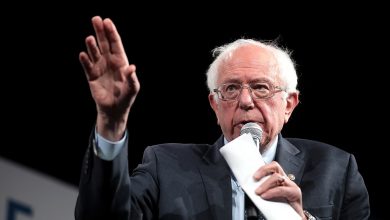 Photo of I guanti di Bernie Sanders diventati virali