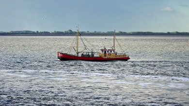 Photo of I pescatori britannici danneggiati dai ritardi per l’export in Europa