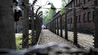 Photo of 900 sopravvissuti alla Shoah sono stati portati via dal Covid