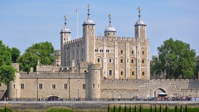 Photo of Sparita la regina dei corvi della Torre di Londra: si teme per il peggio