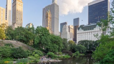 Photo of “Ora più che mai Central Park ha bisogno di voi”, perdita da 10 milioni per il parco più famoso al mondo