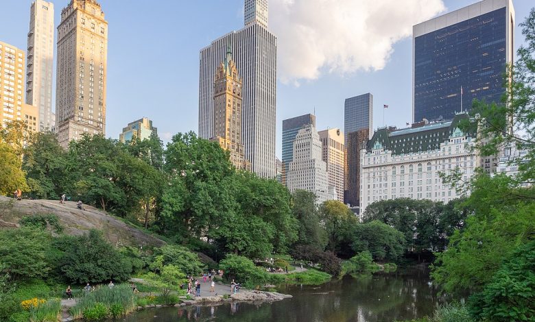 Photo of “Ora più che mai Central Park ha bisogno di voi”, perdita da 10 milioni per il parco più famoso al mondo