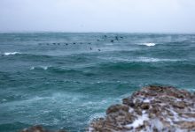 Photo of Oltre un milione di lavoratori impiegati nell’economia del mare in Italia