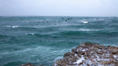 Photo of A Londra arriva la stretta sui migranti: saranno trasferiti oltremare