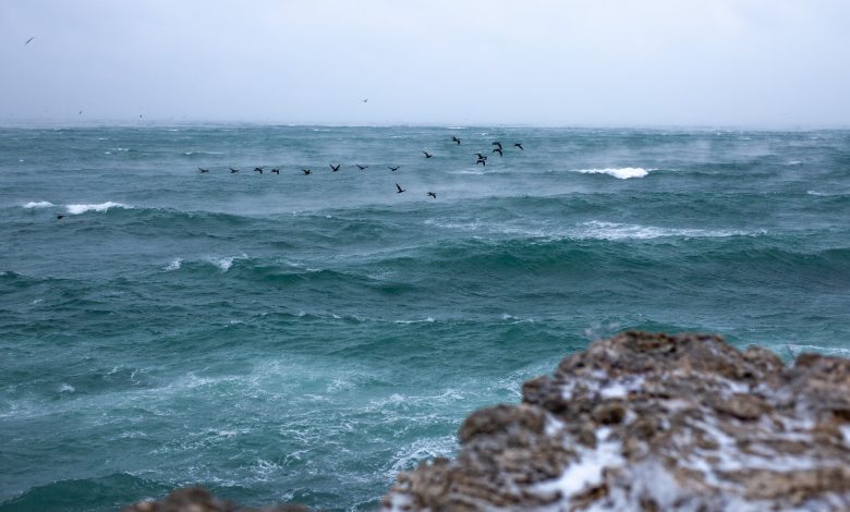 Photo of Oltre un milione di lavoratori impiegati nell’economia del mare in Italia