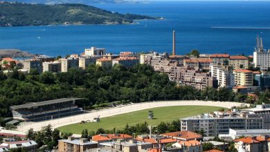 Photo of Porto di Trieste, FS investe per aumentare il traffico merci