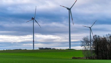 Photo of Transizione green, le norme di Cingolani per iter rapidi