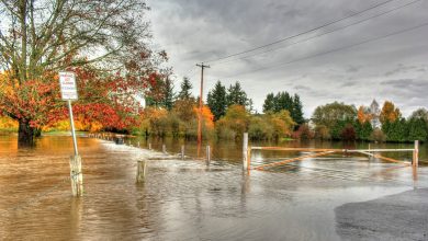 Photo of Rischio di migrazioni a causa del cambiamento climatico fino al 350% entro il 2100