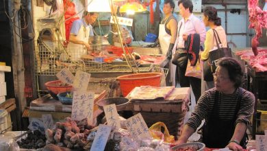 Photo of Il mondo aspetta ancora una spiegazione: il fallimento dell’inchiesta Oms a Wuhan