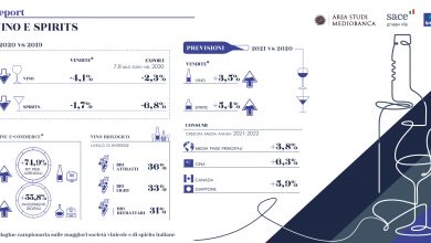 Photo of Sace, il 2020 dei vini italiani: esplode l’e-commerce e cresce la ricerca di qualità