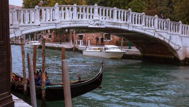 Photo of Mostra del Cinema di Venezia: incrementa il Pil e fa girare l’economia