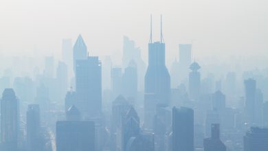 Photo of Cop26, la Cina responsabile di più di un quarto di emissioni CO2 del Pianeta