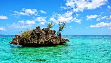 Photo of Le isole Mauritius riaprono ai turisti vaccinati