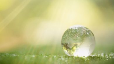 Photo of Lavoro “Green”: le nuove professioni della transizione energetica