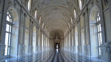 Photo of Michele Briamonte nominato al vertice di Venaria