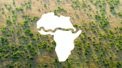 Photo of Africa, la Grande muraglia verde a sostegno dell’ambiente