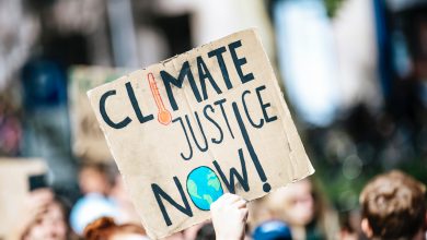 Photo of Cop26, Niall Ferguson: “Scontro su clima parte di Seconda Guerra Fredda”