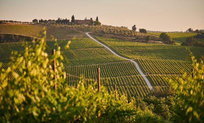 Photo of Cambiamento climatico: rischio siccità per l’agricoltura di collina