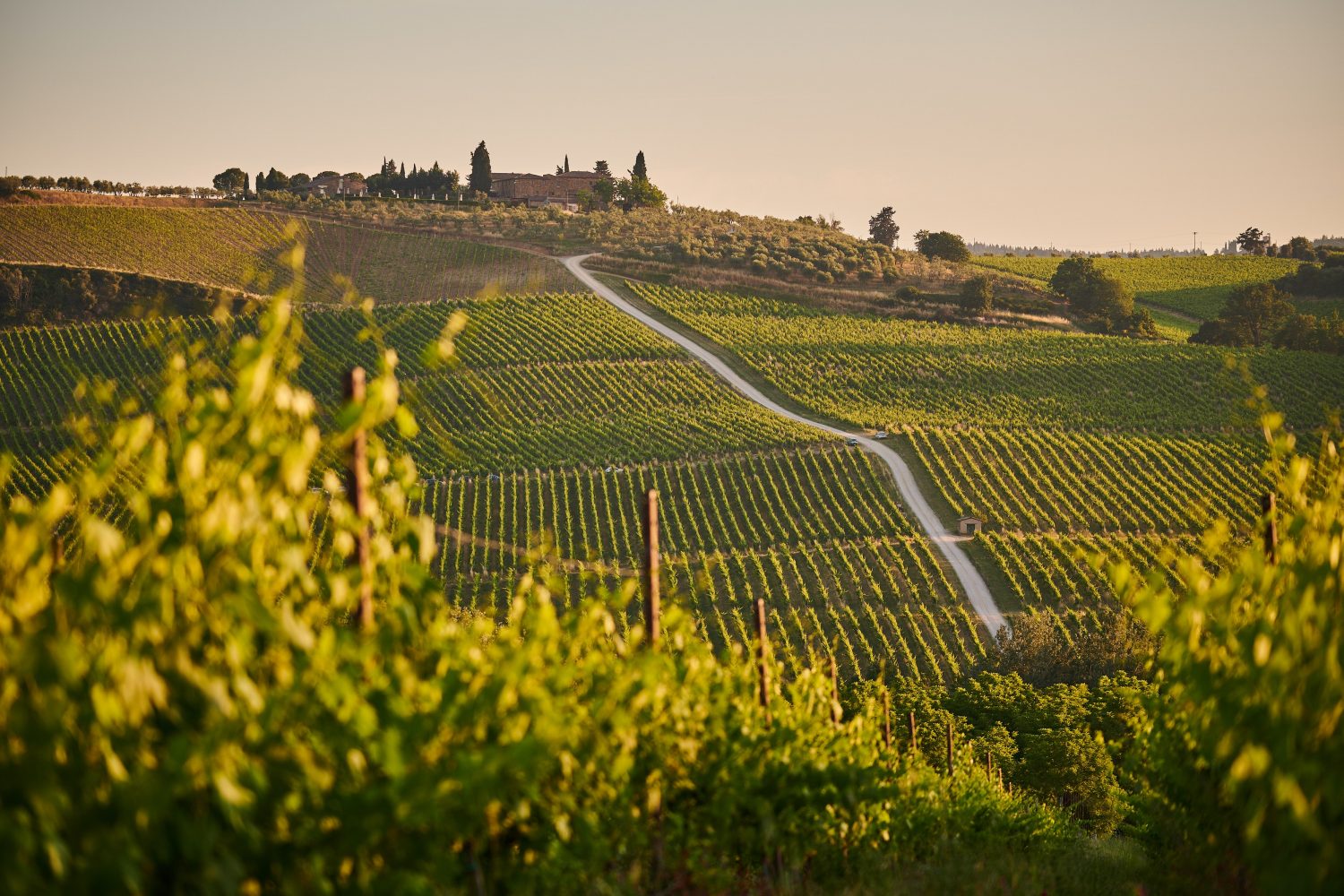 cambiamento climatico agricoltura