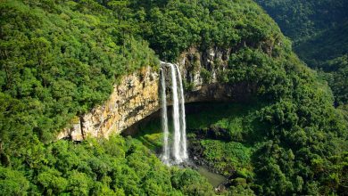 Photo of Brasile: non solo Amazzonia, anche il Cerrado sta sparendo