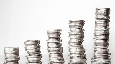 Photo of Il Pil acquisito per il 2024 rivisto a +0,2%, in lieve rialzo