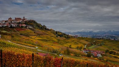 Photo of Roberta Ceretto: “Dalle Langhe, vino e cultura per la ripresa”