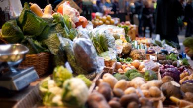 Photo of Sostenibilità: dopo la pandemia il 66% degli italiani pensa più “Green”