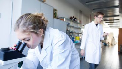 Photo of Giornata delle donne nella scienza, ma solo il 20% studiano le Stem