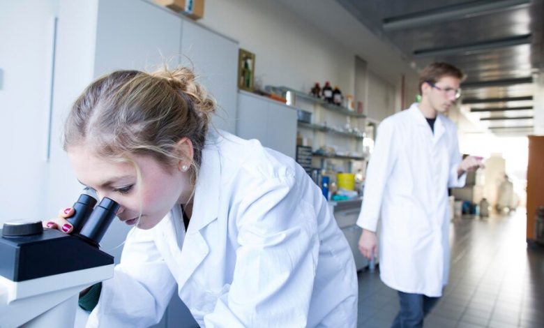 Photo of Giornata delle donne nella scienza, ma solo il 20% studiano le Stem