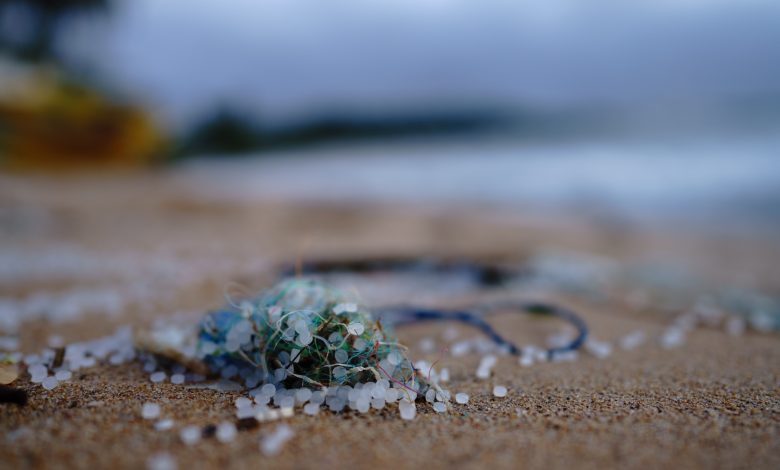 Photo of Microplastiche, una ricerca mostra gli effetti degli inquinanti sull’uomo