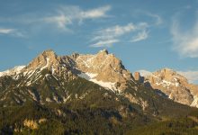 Photo of Export altoatesino in crescita, la Germania primo mercato