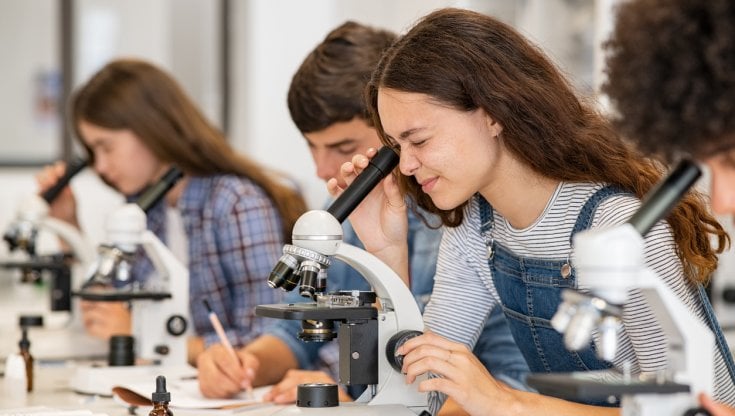 Photo of Nasce il liceo sulla transizione ecologia e digitale, Alverà (Snam): “Favorire le Stem”