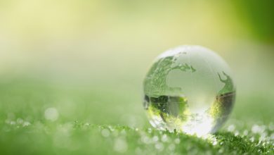 Photo of Ambiente, il 61% degli italiani conosce l’impatto delle scelte sulla sostenibilità