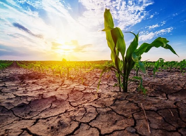 Photo of Clima, l’estate 2021 è stata la più calda mai registrata in Europa