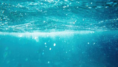 Photo of Giornata mondiale degli oceani, Onu: “Rivitalizzazione e azioni collettive”