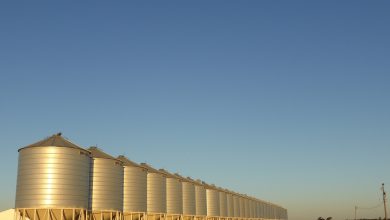 Photo of Blocco del grano ucraino: per l’Italia a rischio il 13% del fabbisogno di mais