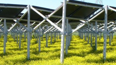 Photo of Agrivoltaico, ecco dove si possono installare i pannelli