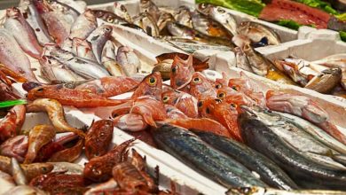 Photo of Disputa su Taiwan, Pechino sospende l’import di prodotti ittici dal Giappone